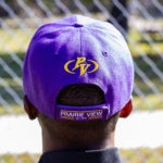Panther Hat