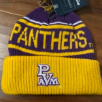 PV Beanie